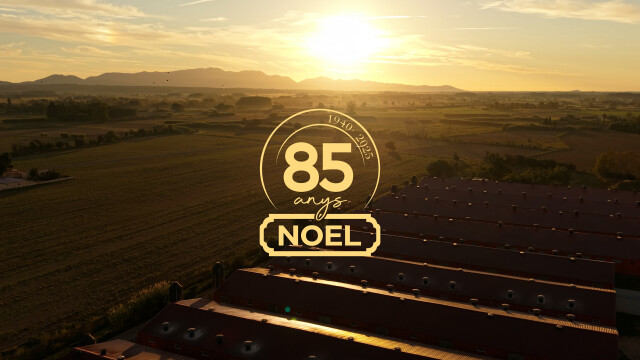 85th anniversary commemorative video